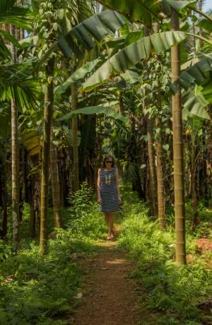 goa-img1