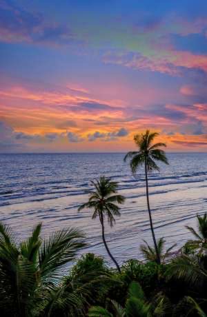 goa-img7