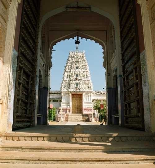 pushkarwalk-img6